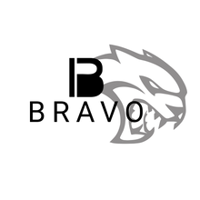 Load image into Gallery viewer, 2015 - 2017 Dodge Charger Hellcat Bravo Package